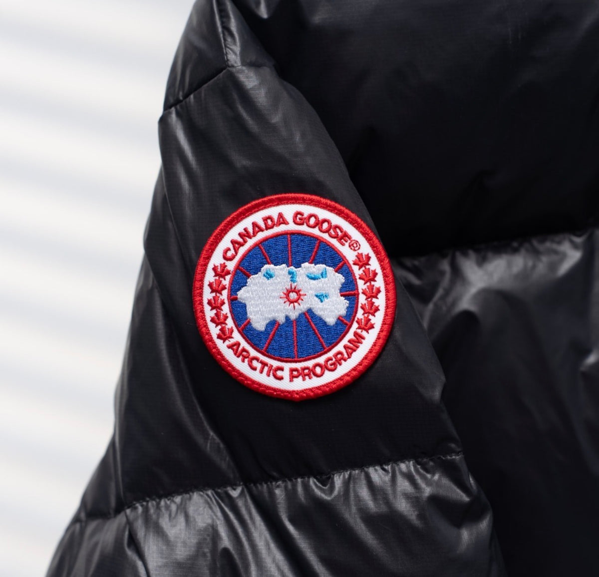 Abrigo Canada G. Crofton Puffer Mujer