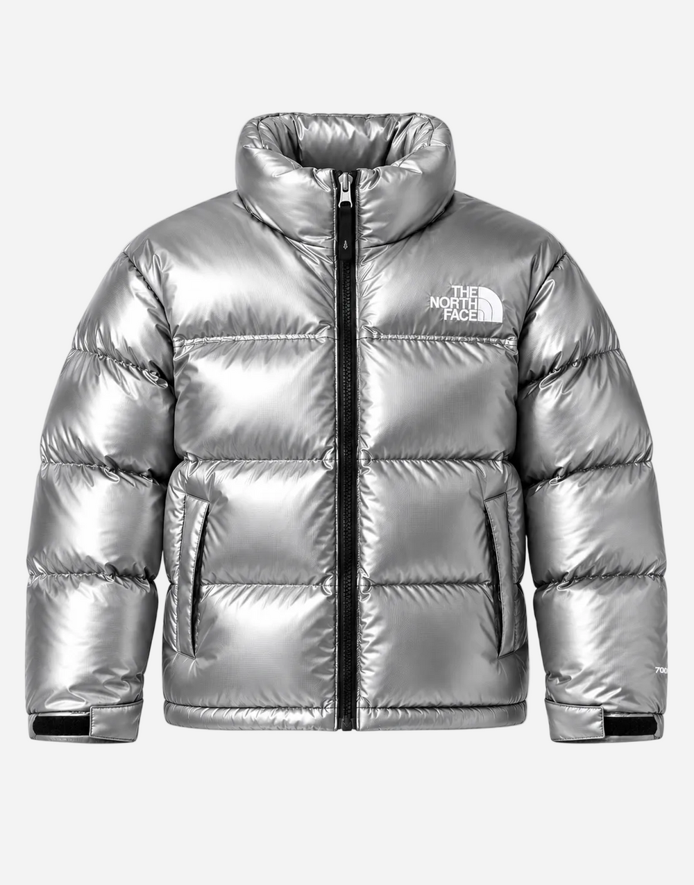 Chaqueta TNF 1996 Nuptse Retro Plateada Unisex