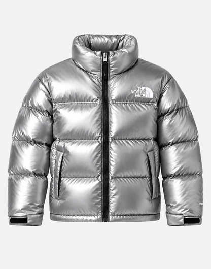 Chaqueta TNF 1996 Nuptse Retro Plateada Unisex