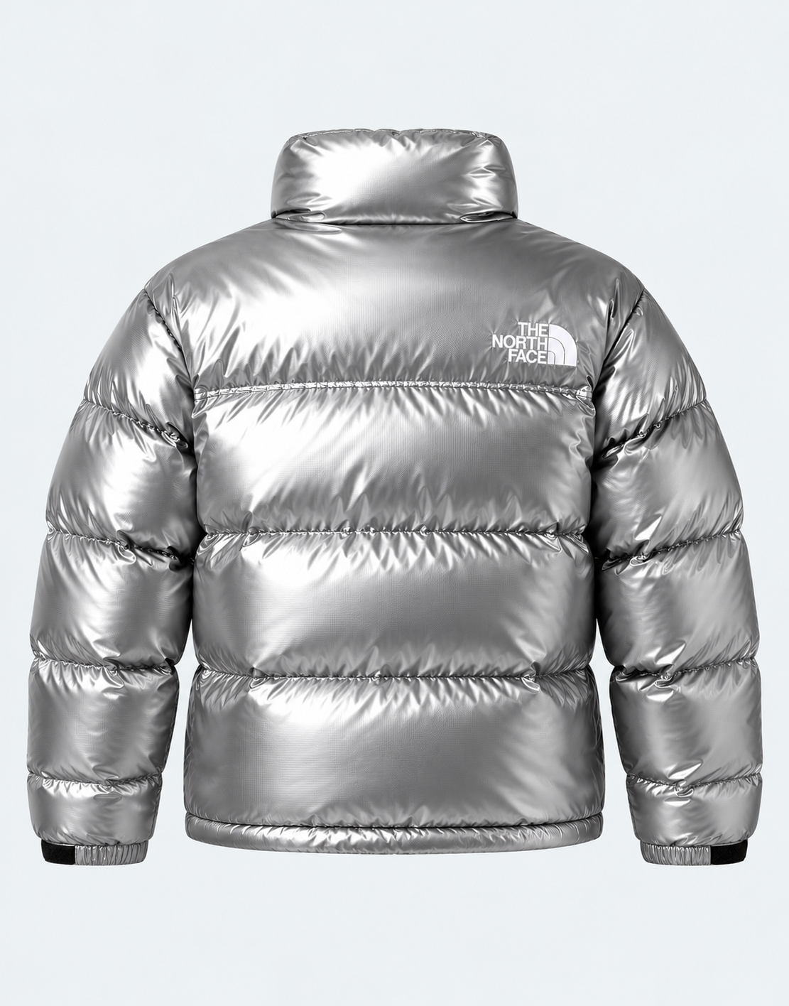 Chaqueta TNF 1996 Nuptse Retro Plateada Unisex