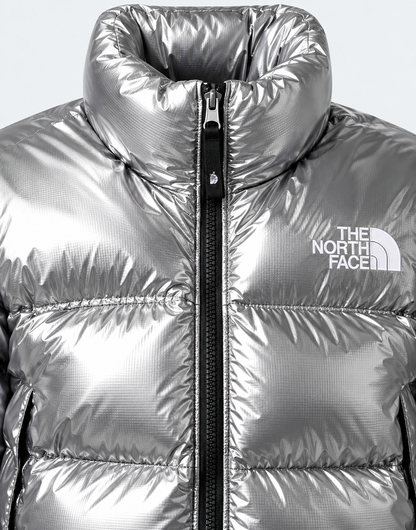 Chaqueta TNF 1996 Nuptse Retro Plateada Unisex